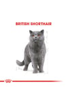 British Shorthair Için Kuru Kedi Maması 4kg
