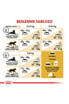 British Shorthair Için Kuru Kedi Maması 4kg