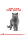 British Shorthair için Yaş Kedi Maması 85g
