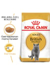 Cat Fbn British Shorthair Kedi Maması 2 Kg