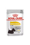 Ccn Medıum Dermacomfort Yetişkin Köpek Maması12x85gr