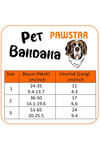 Everyday Kedi Köpek Fuları Pet Bandanası
