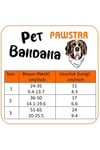 Everyday Kedi Köpek Fuları Pet Bandanası