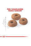 Fit32 Yetişkin Kuru Kedi Maması 400g
