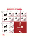 Fit32 Yetişkin Kuru Kedi Maması 400g