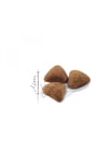 Indoor Ev Kedileri İçin Kedi Maması 400 gr