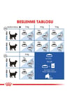 Indoor Ev Kedileri İçin Kedi Maması 400 gr