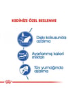Indoor Ev Kedileri İçin Kedi Maması 400 gr