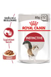 İnstinctive Gravy Pouch Yetişkin Kedi Konservesi 85 Gr