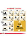 İran Kedisi Için Kuru Kedi Maması 2kg