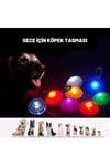 Köpekler İçin Işıklı Tasma Aparatı