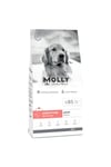 Medium Adult Derma Care Somonlu Orta ve Büyük Irk Yetişkin Köpek Maması 2 Kg
