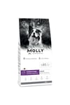 Medium Adult Kuzu Etli & Yaban Mersinli Orta ve Büyük Irk Yetişkin Köpek Maması 2 Kg