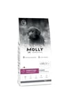 Medium Large Puppy Kuzu Etli Yaban Mersinli Yavru Köpek Maması 2 Kg