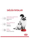 Mother&BabyCat Gebe/Laktasyondaki Anne ve Yavru Kedi için Kuru Kedi Maması 400g