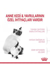 Mother&babycat Gebe/laktasyondaki Anne Ve Yavru Kedi Için Kuru Kedi Maması 4kg