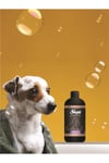 Petcare 500 ml Sampuan