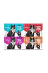 Plus Mini Mix Somonlu Kuzu Etli Biftekli Kısır Tavuk Kedi Ödülleri 20 X 2 Gr
