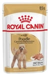 Poodle Yetişkin Köpek Konservesi 85 gr