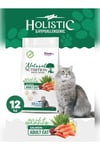 PREMIUM Somonlu Kuru Kedi Maması 12 kg Salmon Adult Cat