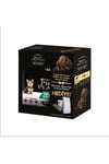 Pro Plan Yavru Köpek Başlangıç Seti (mama 3 Kg, Ölçü Kabı, Eğitim Pedi Ve Bakım Rehberi)