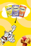Somonlu Kedi Maması 60 gr 6x