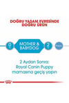 Starter Mother Babydog Yavru Köpek Konservesi 195 Gr
