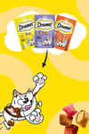Tavuklu Kedi Maması 60 gr 6x