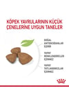 Xsmall Puppy Çok Küçük Irklar Için Yavru Kuru Köpek Maması 500g