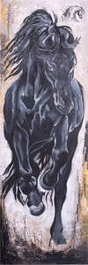 Asil Şahlanış 3