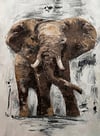 Bilge Adımlar