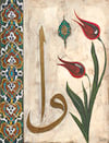 Çelik Dikiş-2