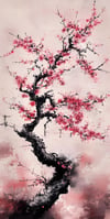 Sakura Rüzgarı