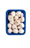 MANTAR PAKET