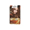 PALETTE DELUX 8-554 DORE KUMRAL