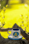 Harfli Mug 