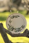 Zeytinli Tabak 25cm