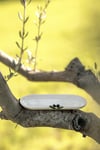 Zeytinli Uzun Sunumluk 21,5cm