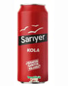 SARIYER KUTU COLA 330 ML