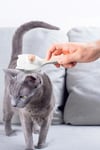 kedi-kopek-otomatik-temizlenen-tuslu-t-42047-.jpg