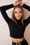 Kadın Fitilli Balıkçı Yaka Siyah Crop Örme Bluz