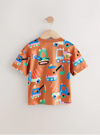 Next Geometrik Desenli T-Shirt Kahverengi