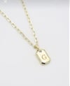 14K Çelik Harf Kolyeler (50+5 cm)