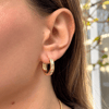 14K Gold Tone Kararmaz Çelik Zirkon Taşlı Halka Küpe