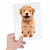 HEADU FLASHCARDS TACTILE MONTESSORİ (1-4 YAŞ)