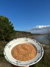 TARHANAKG