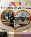 Arzu – Bir Daha / Sen Yok Musun (45'lik Plak) - Hop Plak 505