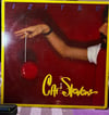 Cat Stevens - Izitso LP (Island Records - ILPS 9451)