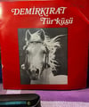 Demokrat Parti - Demirkırat Efsanesi / Demirkırat Türküsü - 1973 Politik Nadir 45'lik