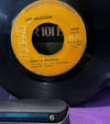 Jose Feliciano - Rain / She's A Woman (1969) RCA Victor Türkiye Baskı 45'lik Plak